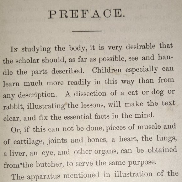 Antique -Primer of Physiology & Hygiene, W T Smith, 1885, 1st Edition Book. - Picture 5 of 15